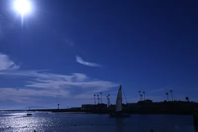 DSC_0836 (Large).JPG